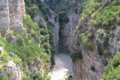 IMG_2194-Copy