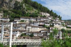 IMG_2266-Copy