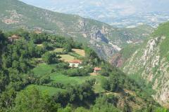 IMG_9274-Copy