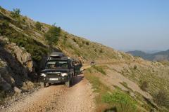IMG_9288-Copy