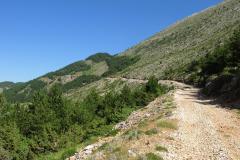 IMG_9315-Copy
