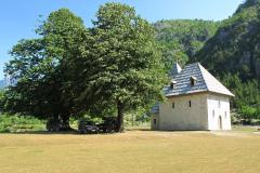 IMG_9734-Copy