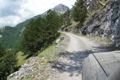 IMG_9800-Copy