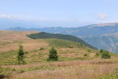 IMG_9037-Copy