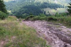 IMG_9045-Copy
