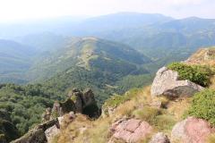 IMG_9078-Copy