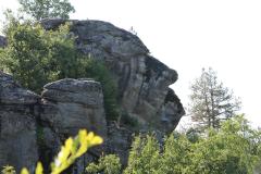 IMG_9240-Copy