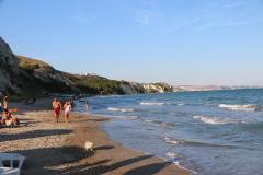 IMG_9461-Copy
